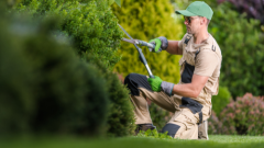 jardineria